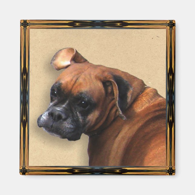 Boxer Dog Magnets (Front)