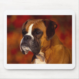 Boxer dog mouse mat