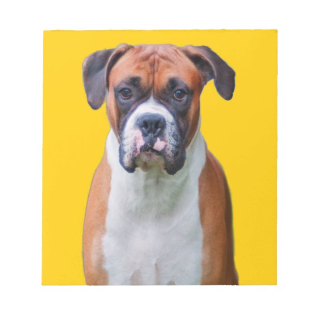 Boxer dog notepad (Front)