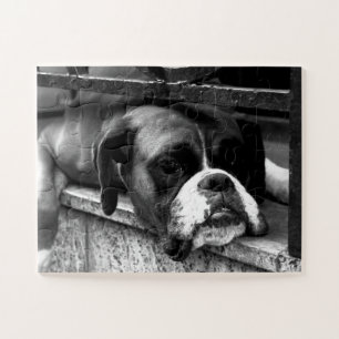 Boxer Dog On Windowsill 11x14 30pc jpcna Jigsaw Puzzle