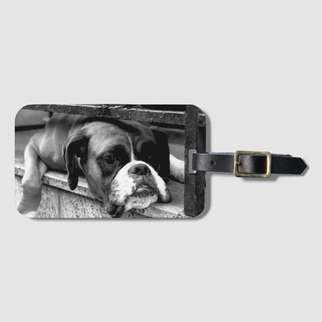Boxer Dog On Windowsill bc ltcna Luggage Tag (Front Horizontal)