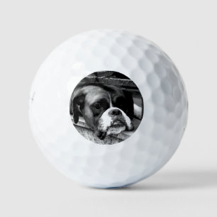 Boxer Dog On Windowsill be6 gbcna Golf Balls