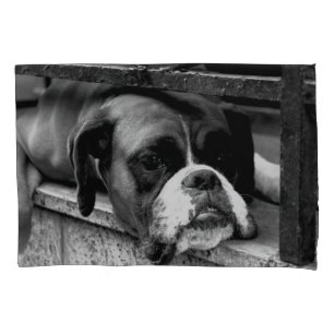 Boxer Dog On Windowsill bedpccn Pillowcase