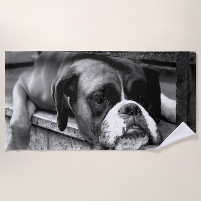 Boxer Dog On Windowsill btcna Beach Towel (Front)