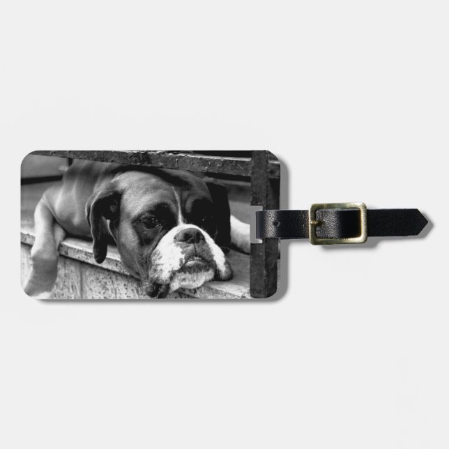 Boxer Dog On Windowsill cd ltcnm Luggage Tag (Front Horizontal)