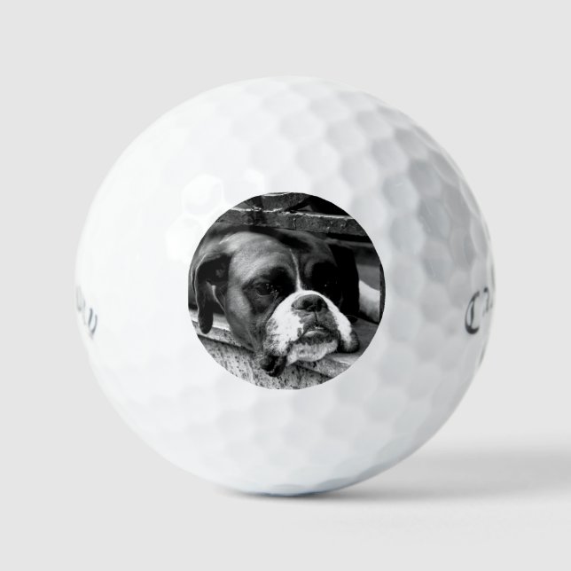 Boxer Dog On Windowsill css gbcnm Golf Balls (Front)