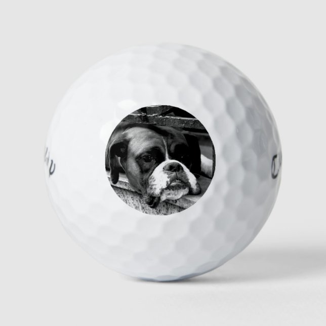 Boxer Dog On Windowsill cwb gbcna Golf Balls (Front)