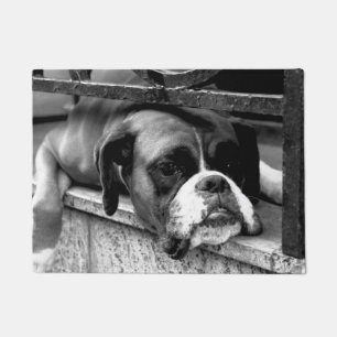 Boxer Dog On Windowsill dm arc1 Doormat