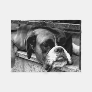 Boxer Dog On Windowsill fbcna Fleece Blanket
