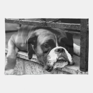 Boxer Dog On Windowsill ktcna Tea Towel