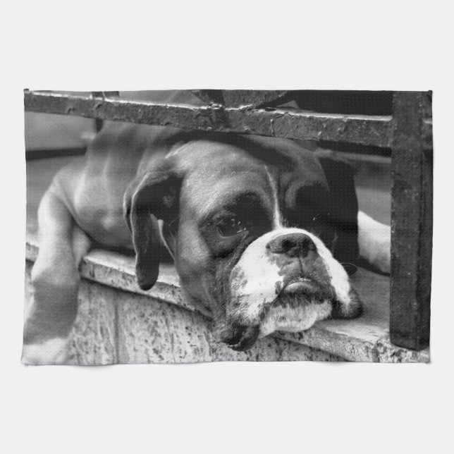 Boxer Dog On Windowsill ktcna Tea Towel (Horizontal)