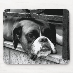 Boxer Dog On Windowsill mp arc1 Mouse Mat