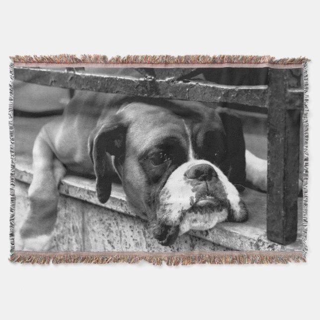 Boxer Dog On Windowsill tbcnm Throw Blanket (Front)
