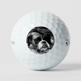 Boxer Dog On Windowsill tmtp5 gbcna Golf Balls