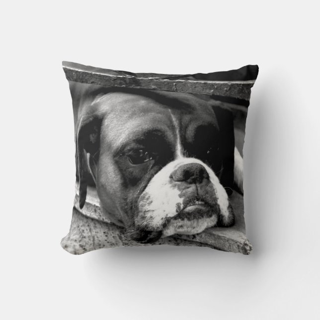 Boxer Dog On Windowsill tpcna Cushion (Front)