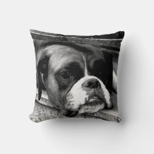 Boxer Dog On Windowsill tpcnm Cushion