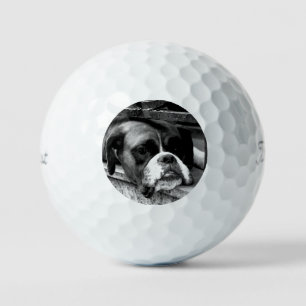 Boxer Dog On Windowsill tpv1 gbcnm Golf Balls