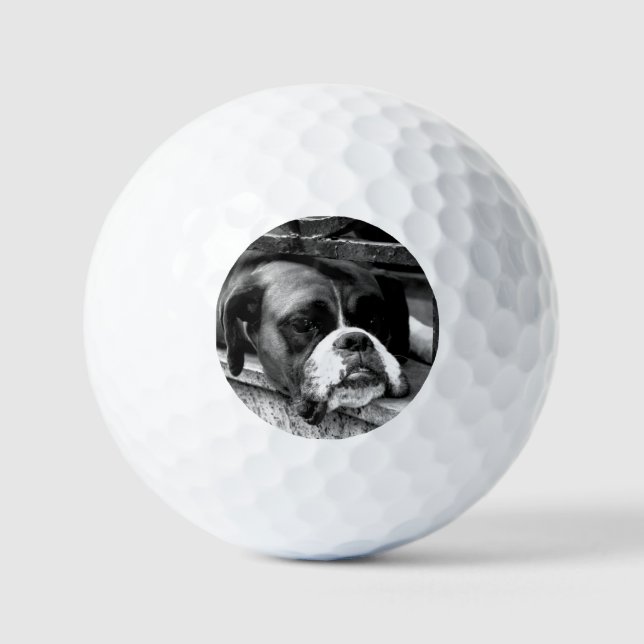 Boxer Dog On Windowsill va gbcna Golf Balls (Front)