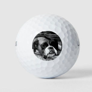 Boxer Dog On Windowsill wu gbcnm Golf Balls
