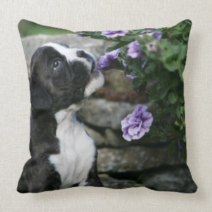 Boxer Dog Panting Cushion