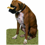 Boxer Dog Photo Sculpture Magnet<br><div class="desc">This photo sculpture is of a beautiful brindle Boxer dog. You can customise this design and order it in a variety of sizes. This Boxer design is also available as shaped,  cut-out magnets,  ornaments,  pins and keychains.</div>
