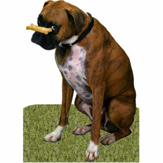 Boxer Dog Photo Sculpture Magnet