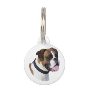 Boxer dog portrait photo pet tag