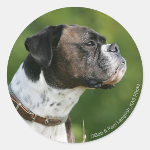 Boxer Dog Profile Classic Round Sticker