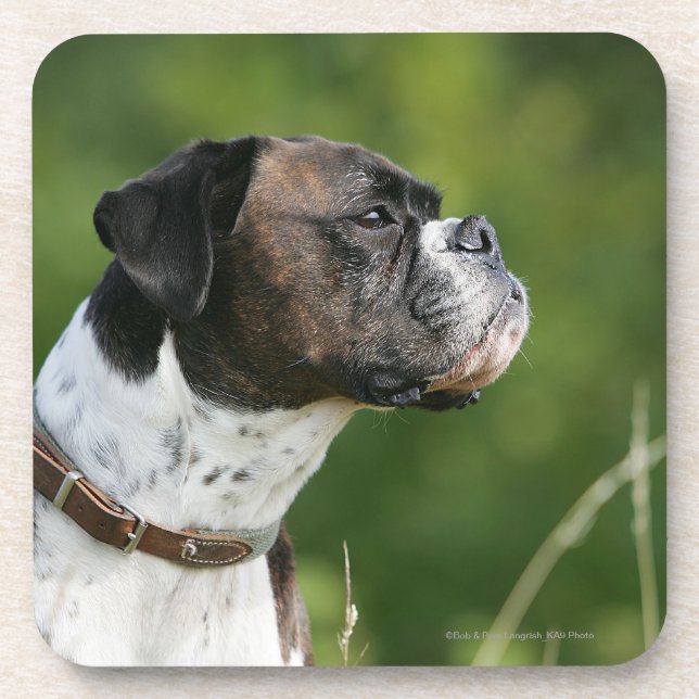 Boxer Dog Profile Coaster (Front)