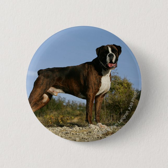 Boxer Dog Show Stance 6 Cm Round Badge (Front)