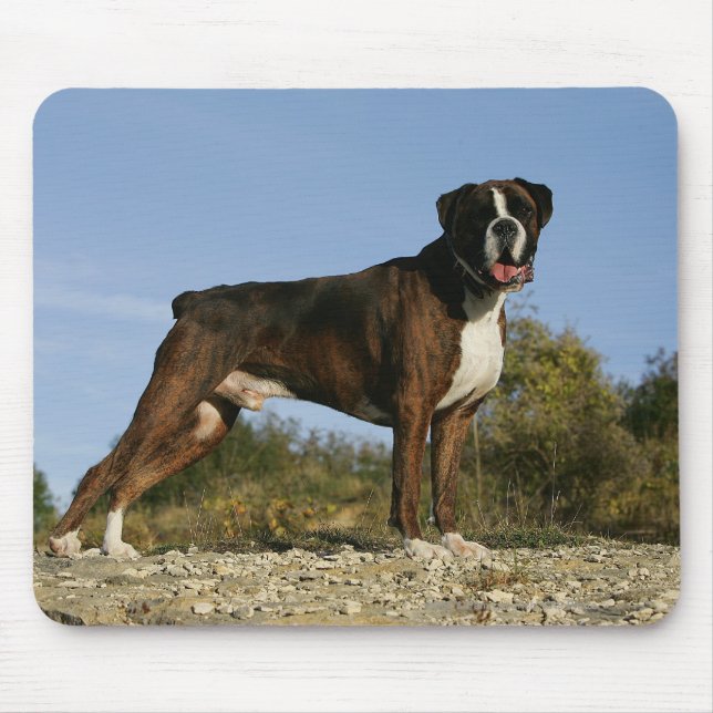 Boxer Dog Show Stance Mouse Mat (Front)