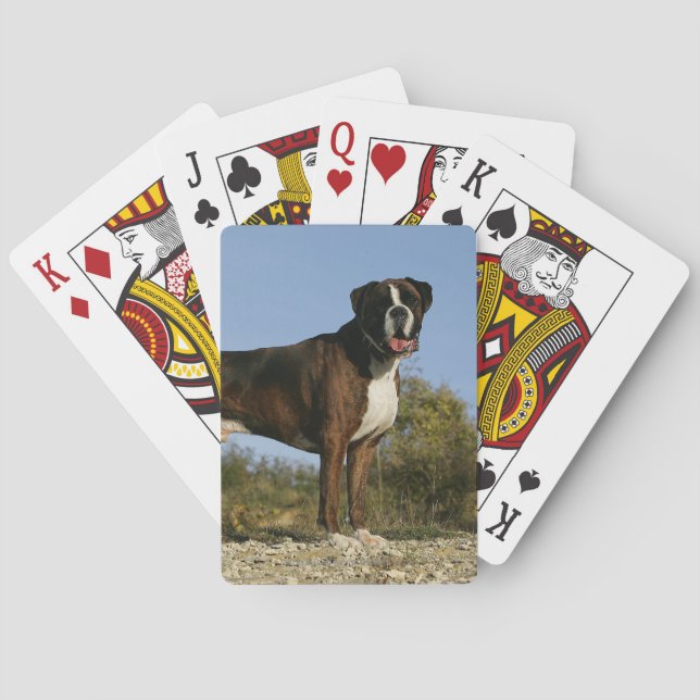 Boxer Dog Show Stance Playing Cards (Back)