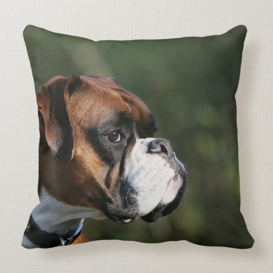 boxer dog cushion