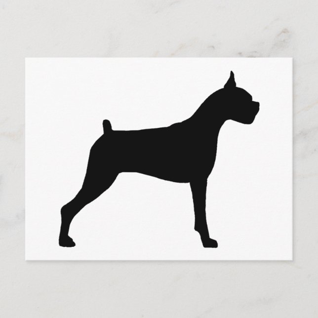 Boxer Dog Silhouette Postcard (Front)