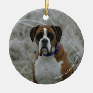Boxer Dog Sitting in the Frost Ceramic Tree Decoration