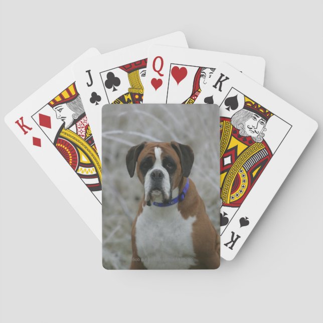 Boxer Dog Sitting in the Frost Playing Cards (Back)