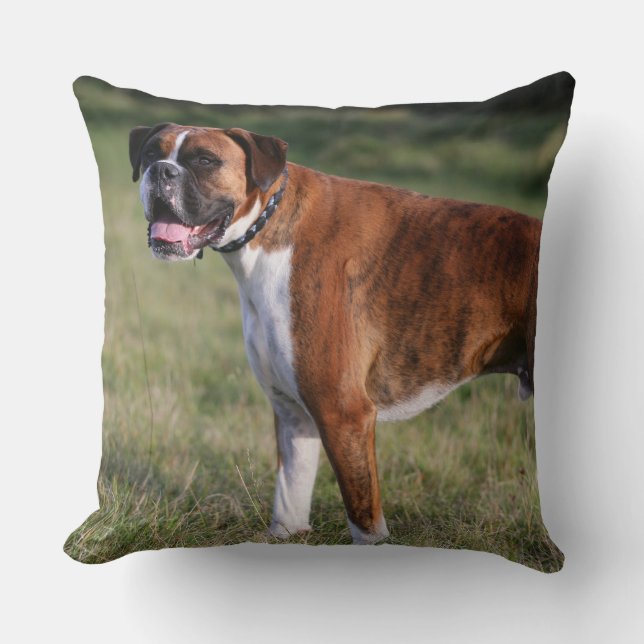 Boxer Dog Standing Cushion (Front)