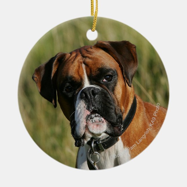 Boxer Dog Staring at Camera Ceramic Tree Decoration (Front)