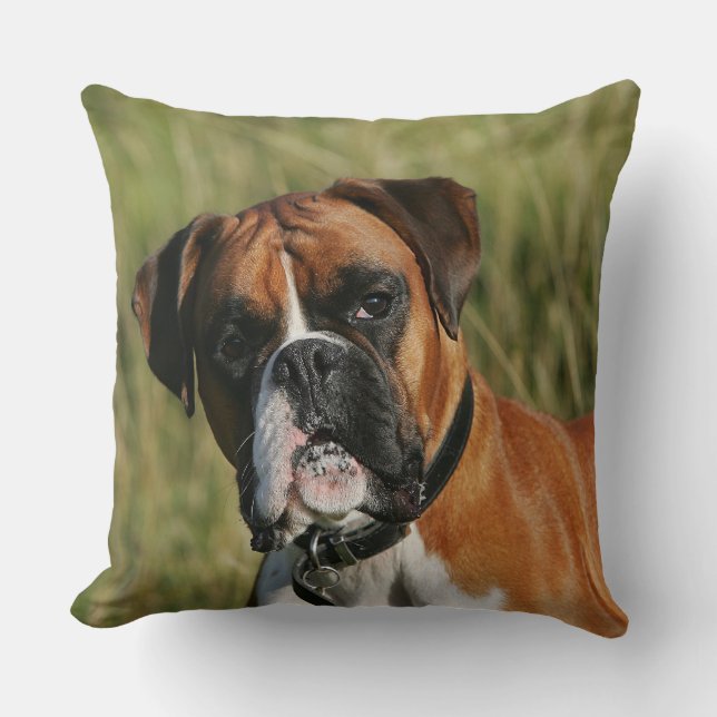 Boxer Dog Staring at Camera Cushion (Front)