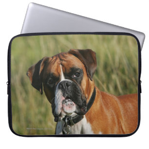 Boxer Dog Staring at Camera Laptop Sleeve