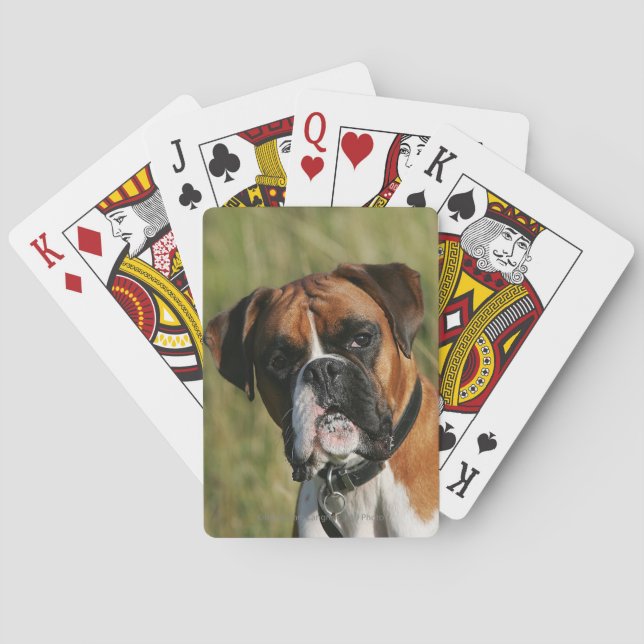 Boxer Dog Staring at Camera Playing Cards (Back)