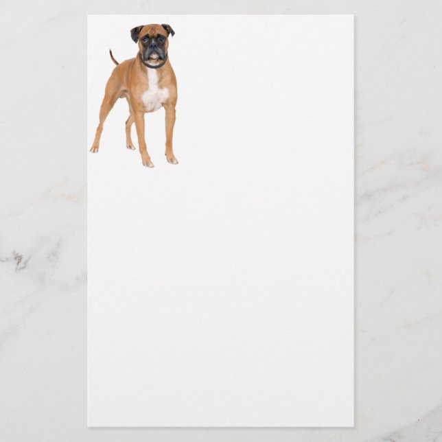 Boxer Dog Stationery (Front)