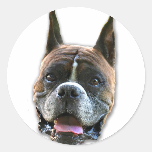 Boxer dog stickers (Front)