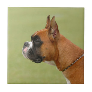 Boxer Dog Tile