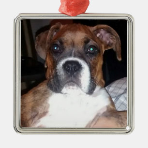BOXER DOG TRUE COMPANION ornament
