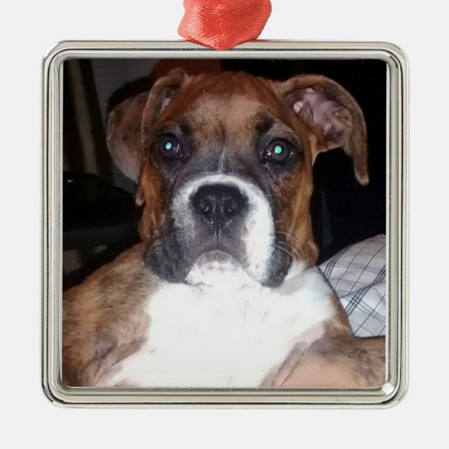 BOXER DOG TRUE COMPANION ornament (Front)