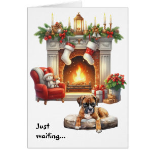 Boxer Dog Waiting for Christmas