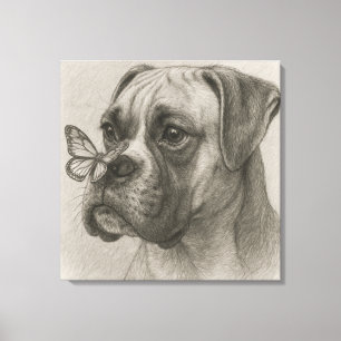 Boxer Dog with Butterfly Gentle Encounter Canvas Print