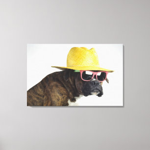 Boxer dog with hat and glasses canvas print