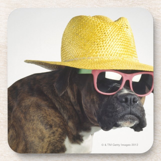Boxer dog with hat and glasses coaster (Front)